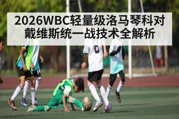 2026WBC轻量级洛马琴科对戴维斯统一战技术全解析
